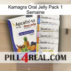 Kamagra Oral Jelly 1 Week Pack 11